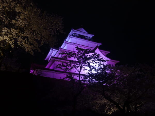 鶴ヶ城 夜桜 ライトアップ