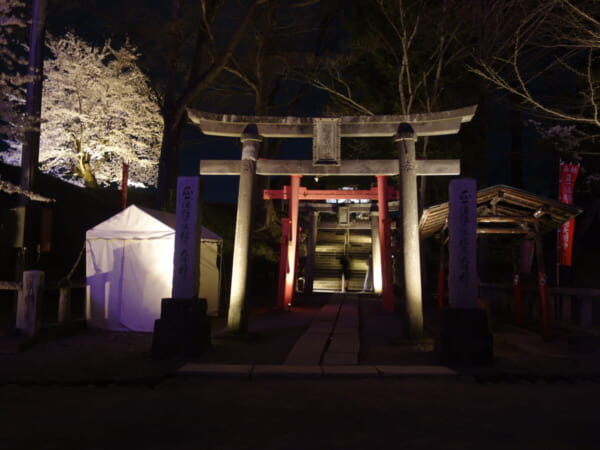 鶴ヶ城 夜桜 ライトアップ