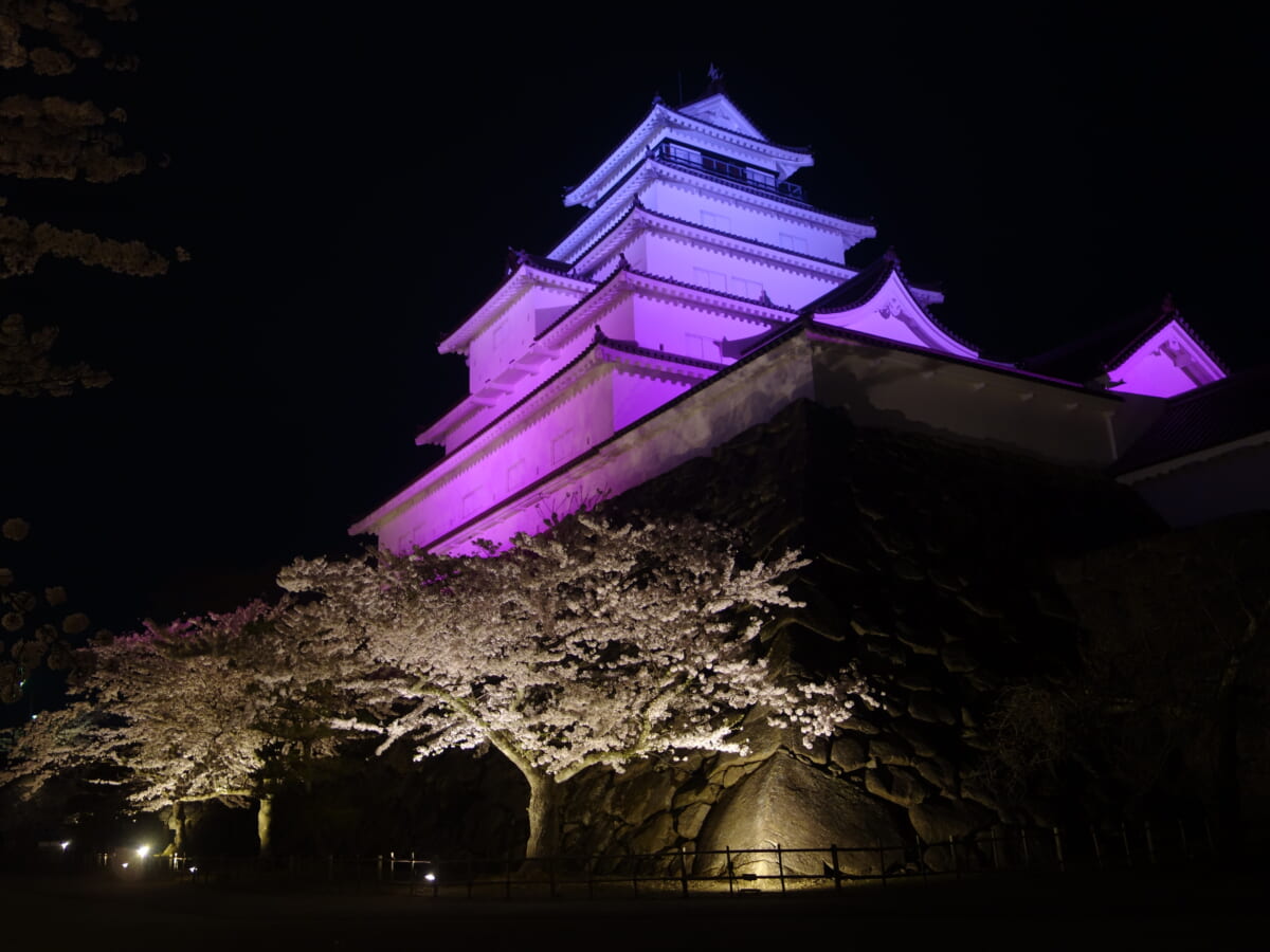 鶴ヶ城(若松城) 夜桜