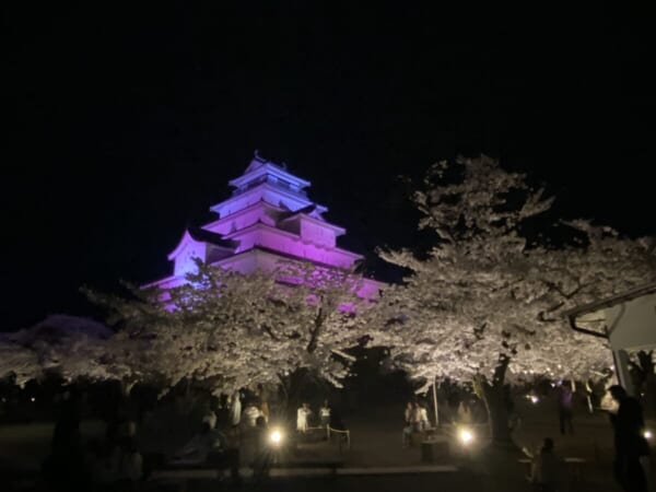 鶴ヶ城 夜桜 ライトアップ