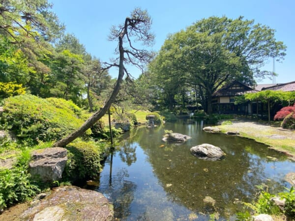 雲嶺庵 会津ほまれ酒造 日本庭園