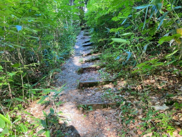 モーカケの滝 展望台への道