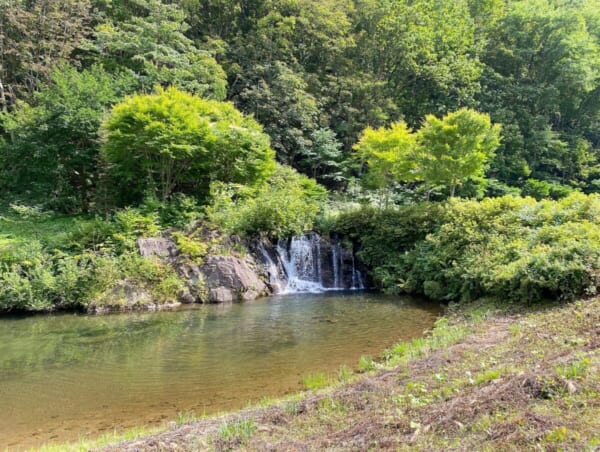 ミニ尾瀬公園 曲渕滝（マガリブチタキ)