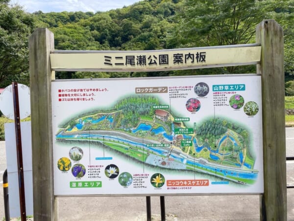 ミニ尾瀬公園