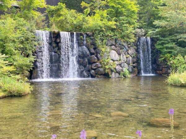 ミニ尾瀬公園