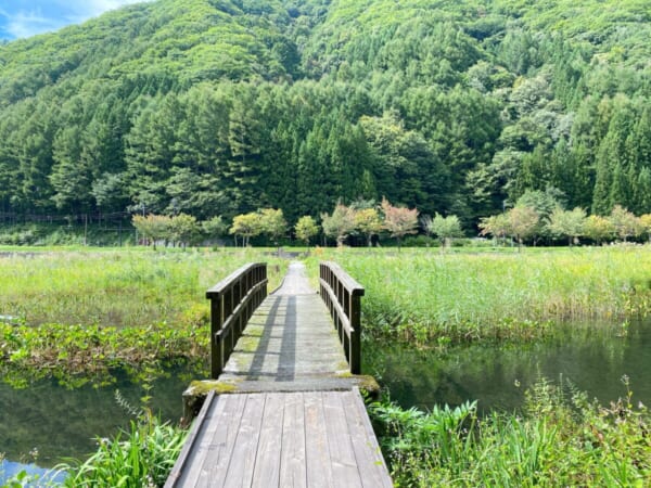 ミニ尾瀬公園