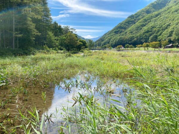 ミニ尾瀬公園