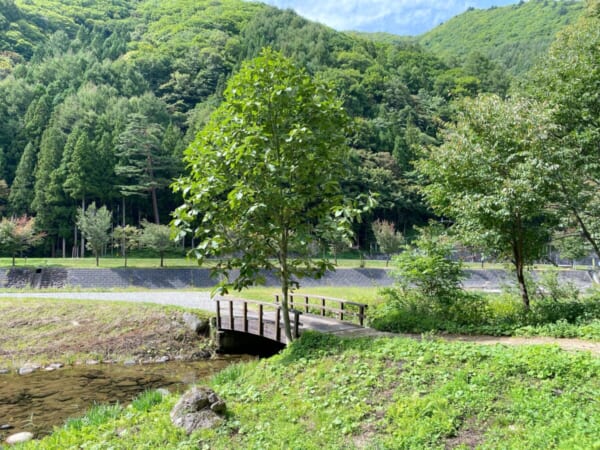 ミニ尾瀬公園