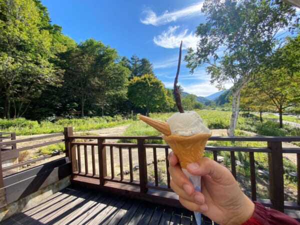 ミニ尾瀬公園 ミニ尾瀬カフェ