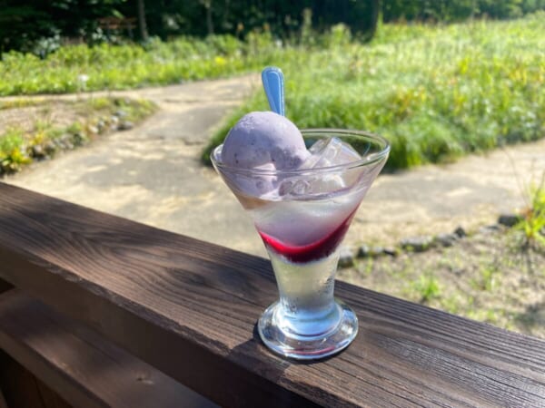 ミニ尾瀬公園 ミニ尾瀬カフェ