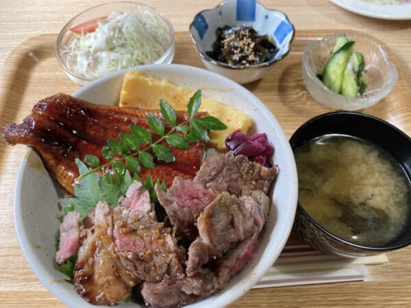 食彩 源ちゃん 鰻ビフテキ丼