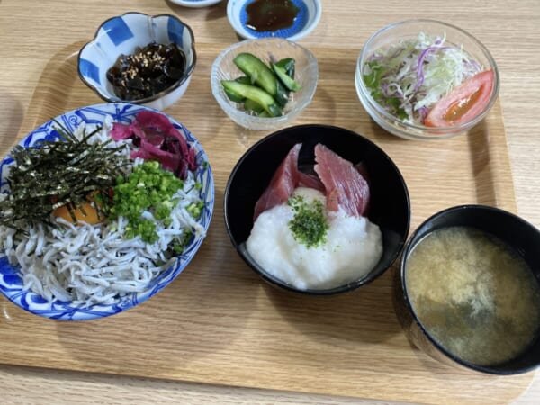 食彩 源ちゃん しらす丼とまぐろ山かけ定食