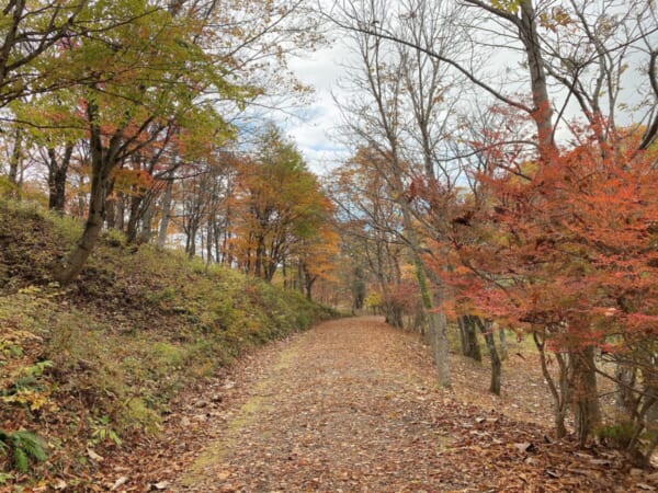 観音沼森林公園 散策