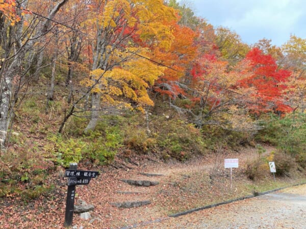 観音沼森林公園 くつろぎの径 分岐