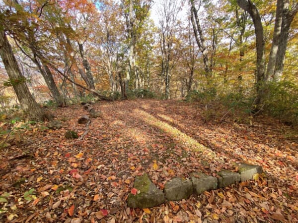 観音沼森林公園 くつろぎの径 展望台