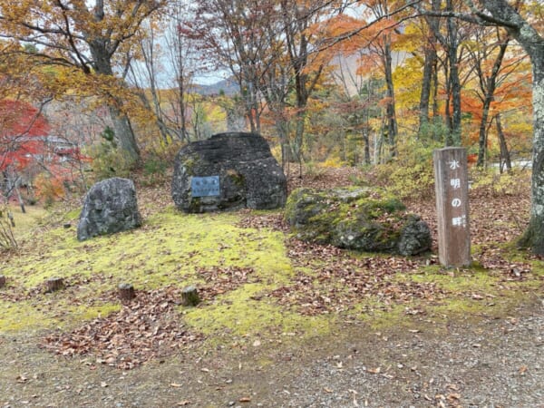 観音沼森林公園 水明の畔