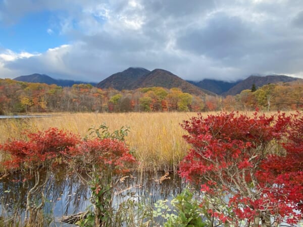 観音沼森林公園 水明の畔