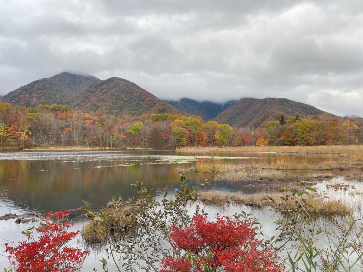 観音沼森林公園