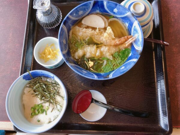 むぎの里 会津若松店 天ぷらうどん ミニ丼 茶碗蒸し