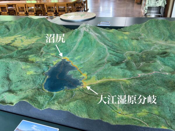 尾瀬 大江湿原分岐->沼尻