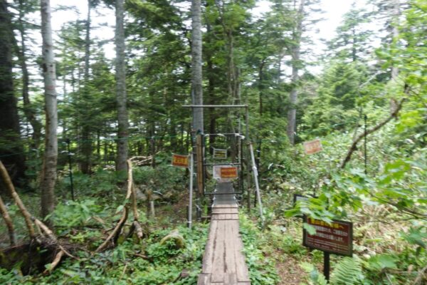 尾瀬 大江湿原分岐->沼尻 ゲート