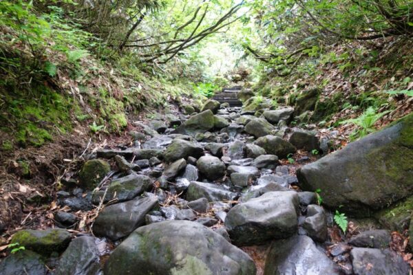尾瀬 沼尻->見晴