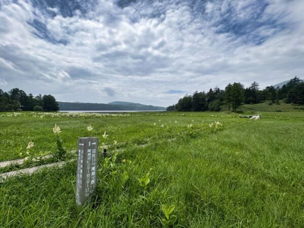 尾瀬 大江湿原分岐