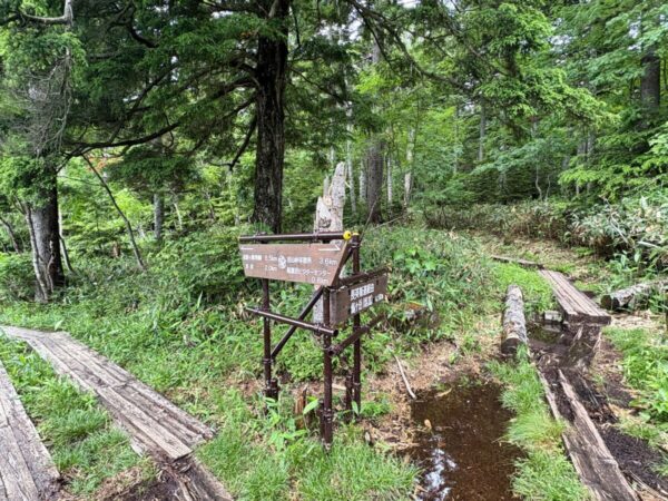 尾瀬 大江湿原分岐->沼尻